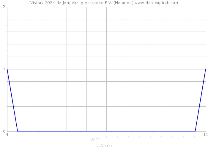 Visitas 2024 de Jongekrijg Vastgoed B.V. (Holanda) 