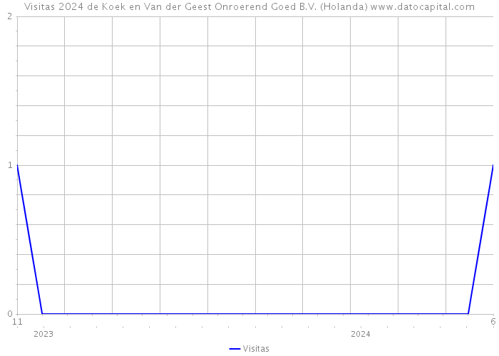 Visitas 2024 de Koek en Van der Geest Onroerend Goed B.V. (Holanda) 