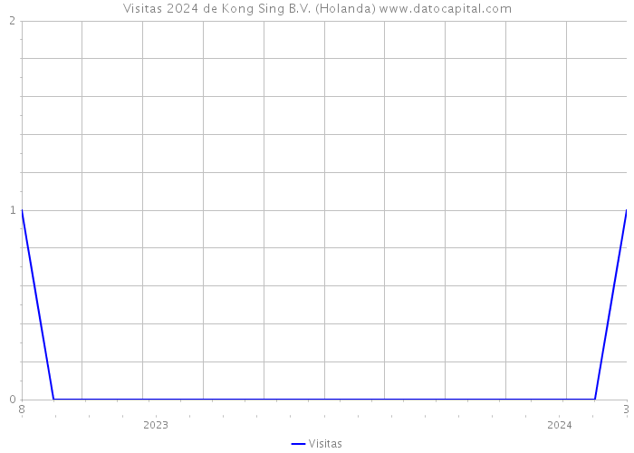 Visitas 2024 de Kong Sing B.V. (Holanda) 