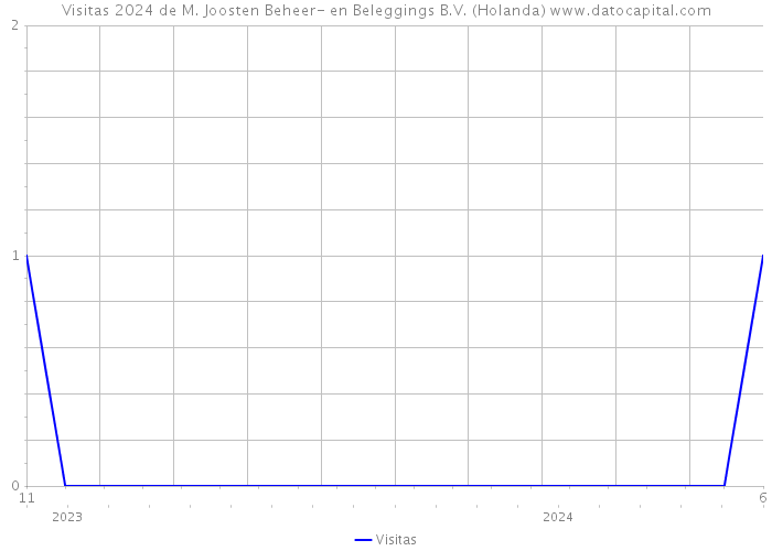 Visitas 2024 de M. Joosten Beheer- en Beleggings B.V. (Holanda) 