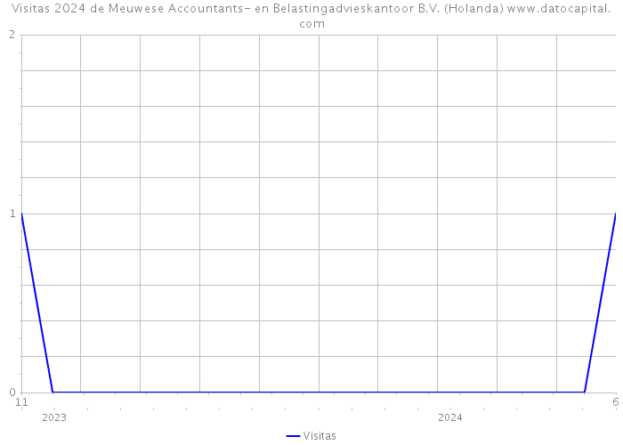 Visitas 2024 de Meuwese Accountants- en Belastingadvieskantoor B.V. (Holanda) 