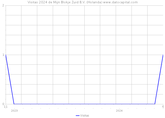 Visitas 2024 de Mijn Blokje Zuid B.V. (Holanda) 