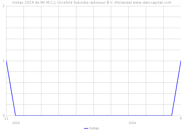 Visitas 2024 de Mr M.C.J. Grosfeld Subsidie-adviseur B.V. (Holanda) 