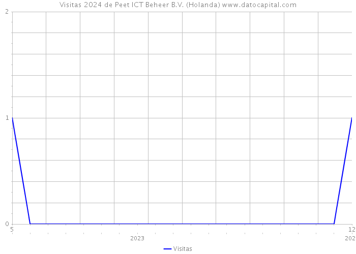 Visitas 2024 de Peet ICT Beheer B.V. (Holanda) 