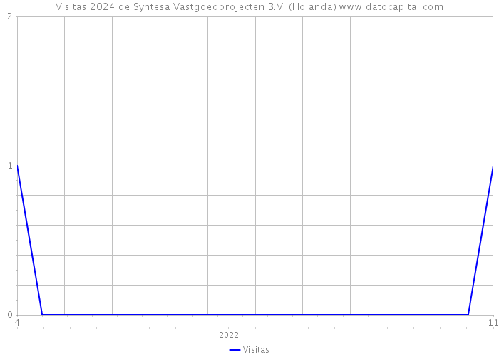 Visitas 2024 de Syntesa Vastgoedprojecten B.V. (Holanda) 