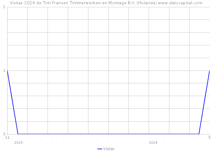 Visitas 2024 de Tim Fransen Timmerwerken en Montage B.V. (Holanda) 