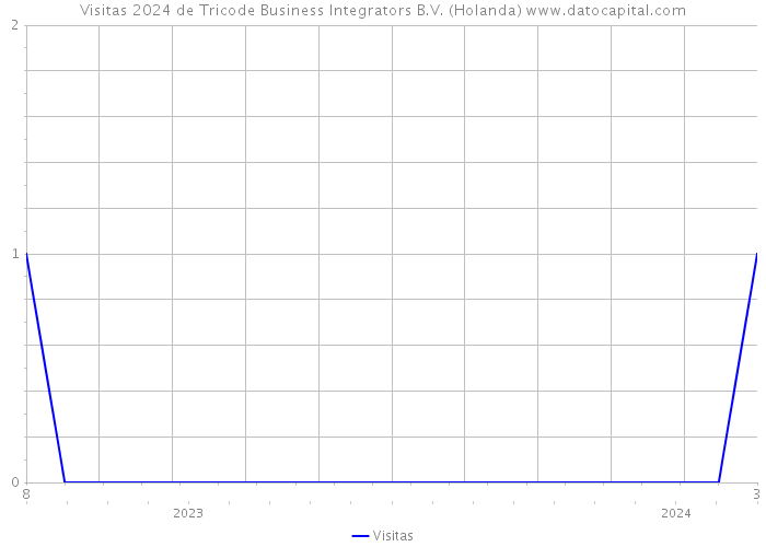 Visitas 2024 de Tricode Business Integrators B.V. (Holanda) 
