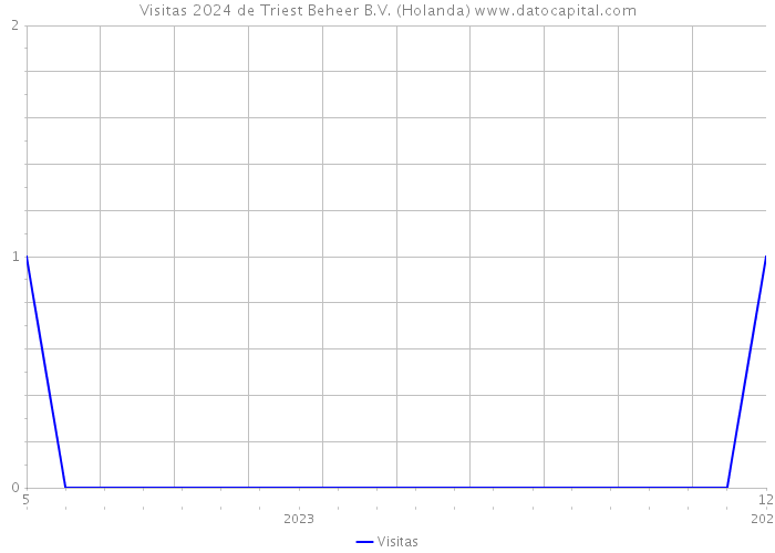 Visitas 2024 de Triest Beheer B.V. (Holanda) 