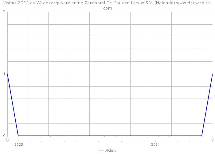 Visitas 2024 de Woonzorgvoorziening Zorghotel De Gouden Leeuw B.V. (Holanda) 