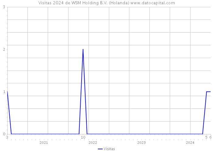 Visitas 2024 de WSM Holding B.V. (Holanda) 