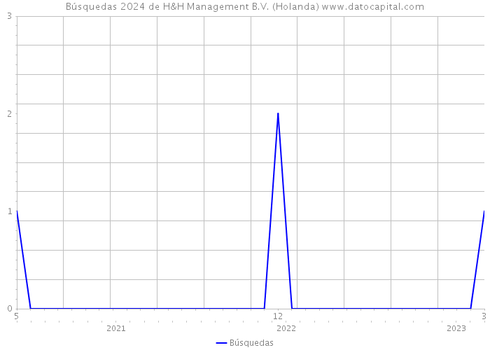 Búsquedas 2024 de H&H Management B.V. (Holanda) 