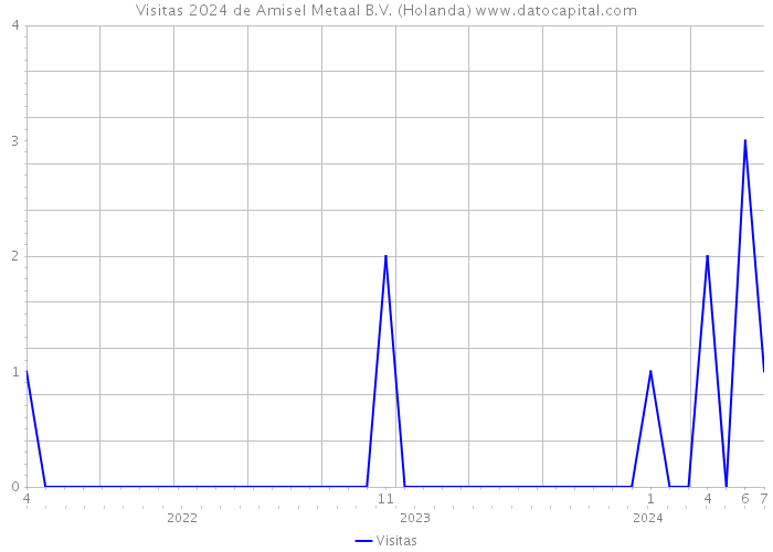 Visitas 2024 de Amisel Metaal B.V. (Holanda) 