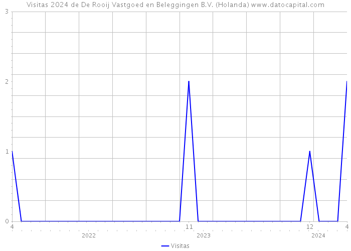 Visitas 2024 de De Rooij Vastgoed en Beleggingen B.V. (Holanda) 