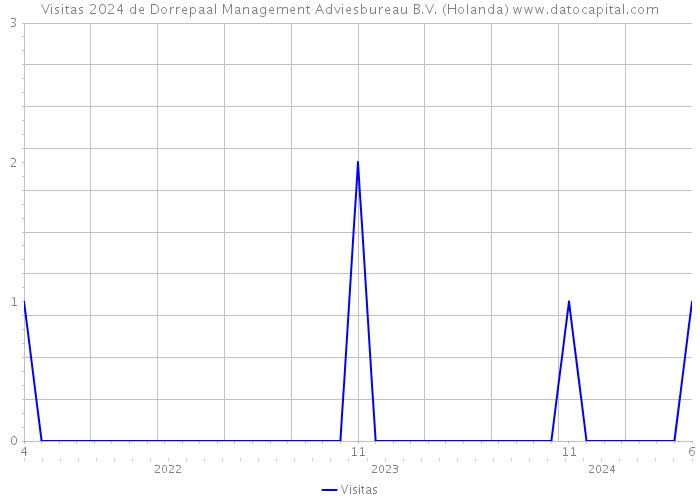Visitas 2024 de Dorrepaal Management Adviesbureau B.V. (Holanda) 