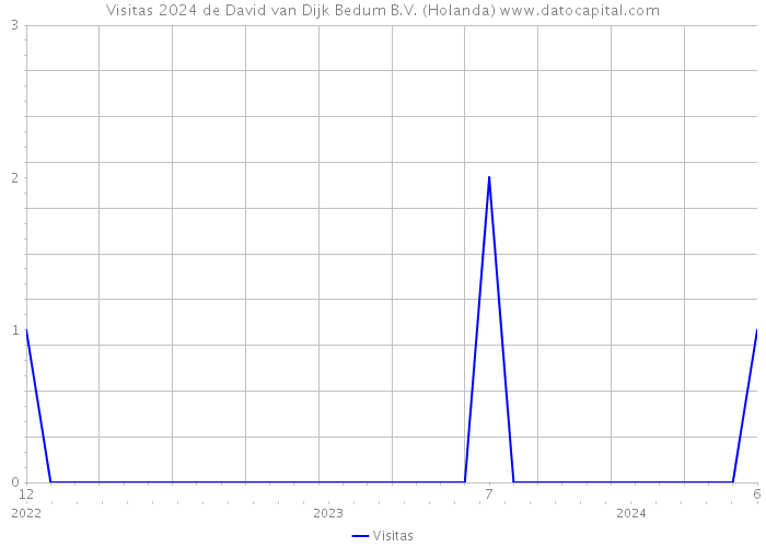 Visitas 2024 de David van Dijk Bedum B.V. (Holanda) 