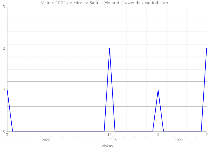 Visitas 2024 de Mireille Satink (Holanda) 