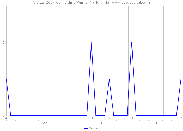 Visitas 2024 de Holding Wijn B.V. (Holanda) 