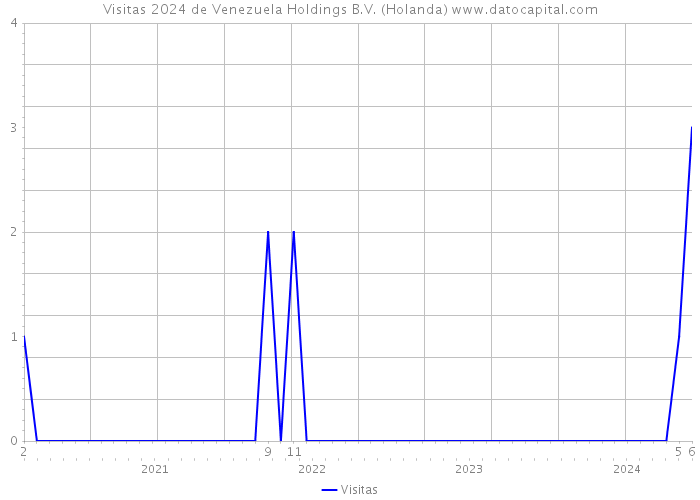 Visitas 2024 de Venezuela Holdings B.V. (Holanda) 