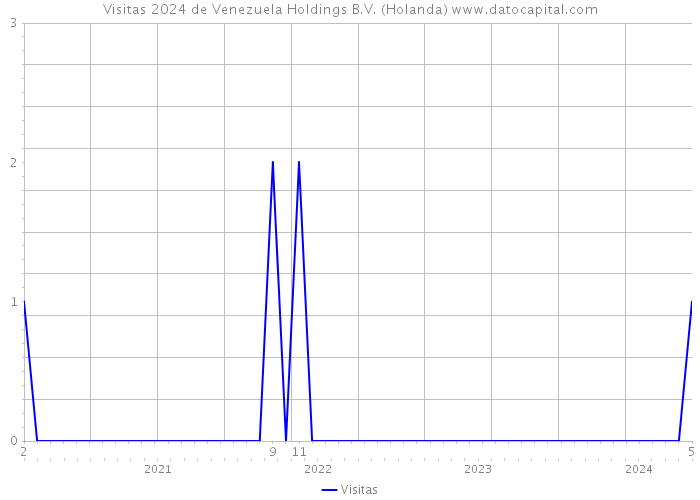 Visitas 2024 de Venezuela Holdings B.V. (Holanda) 