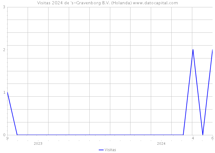 Visitas 2024 de 's-Gravenborg B.V. (Holanda) 