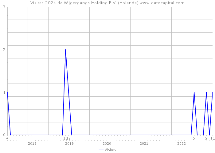 Visitas 2024 de Wijgergangs Holding B.V. (Holanda) 