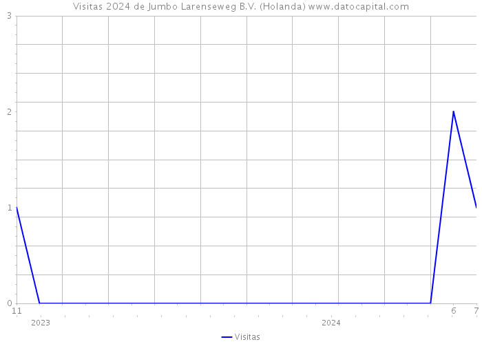 Visitas 2024 de Jumbo Larenseweg B.V. (Holanda) 