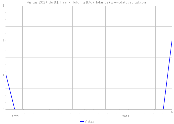 Visitas 2024 de B.J. Haank Holding B.V. (Holanda) 