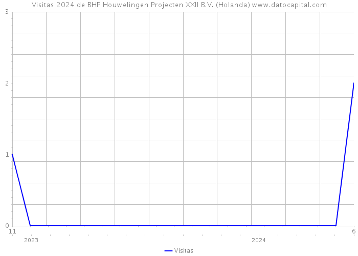 Visitas 2024 de BHP Houwelingen Projecten XXII B.V. (Holanda) 