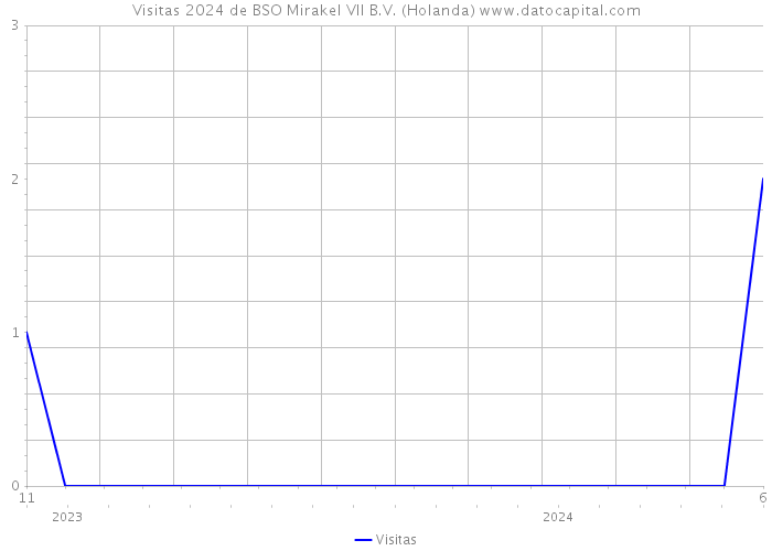 Visitas 2024 de BSO Mirakel VII B.V. (Holanda) 