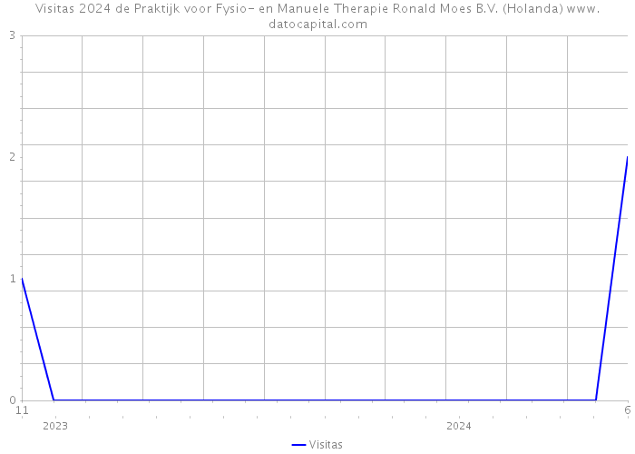 Visitas 2024 de Praktijk voor Fysio- en Manuele Therapie Ronald Moes B.V. (Holanda) 