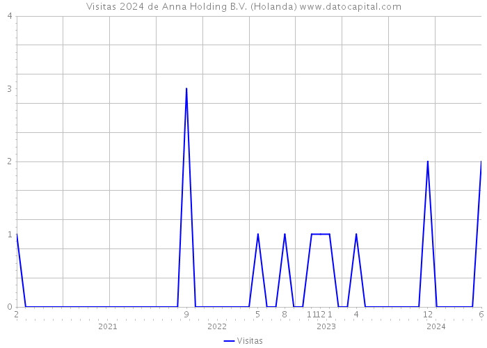 Visitas 2024 de Anna Holding B.V. (Holanda) 