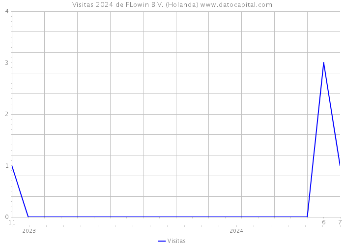 Visitas 2024 de FLowin B.V. (Holanda) 