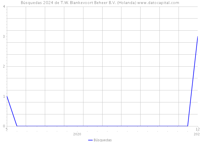 Búsquedas 2024 de T.W. Blankevoort Beheer B.V. (Holanda) 