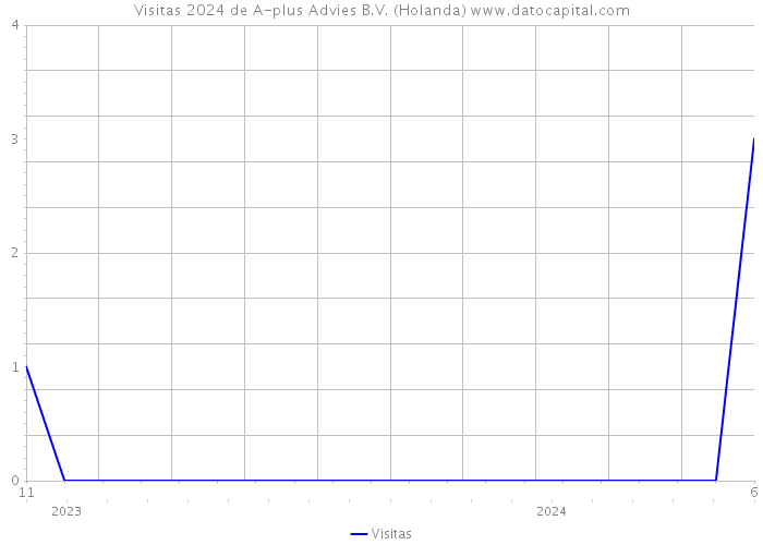 Visitas 2024 de A-plus Advies B.V. (Holanda) 