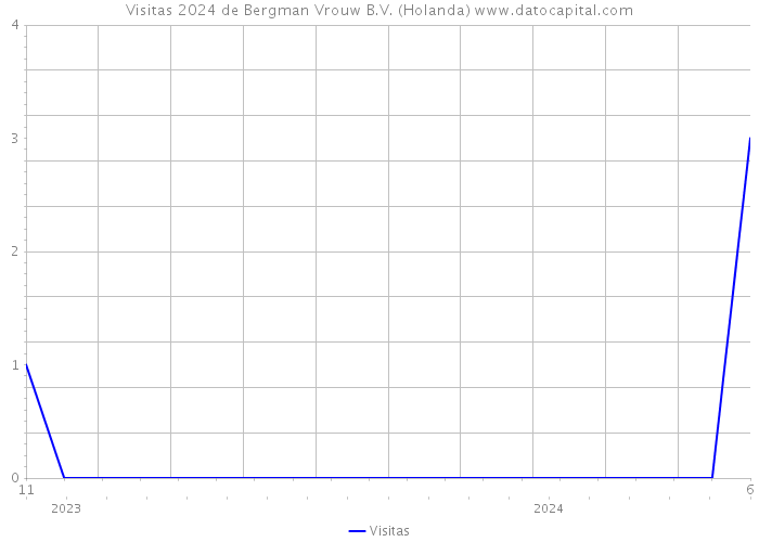 Visitas 2024 de Bergman Vrouw B.V. (Holanda) 