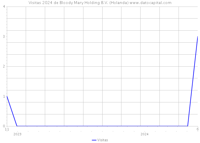Visitas 2024 de Bloody Mary Holding B.V. (Holanda) 