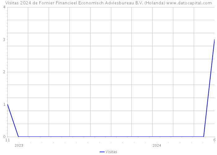 Visitas 2024 de Fornier Financieel Economisch Adviesbureau B.V. (Holanda) 