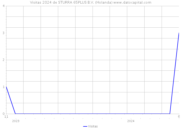 Visitas 2024 de STURRA 65PLUS B.V. (Holanda) 