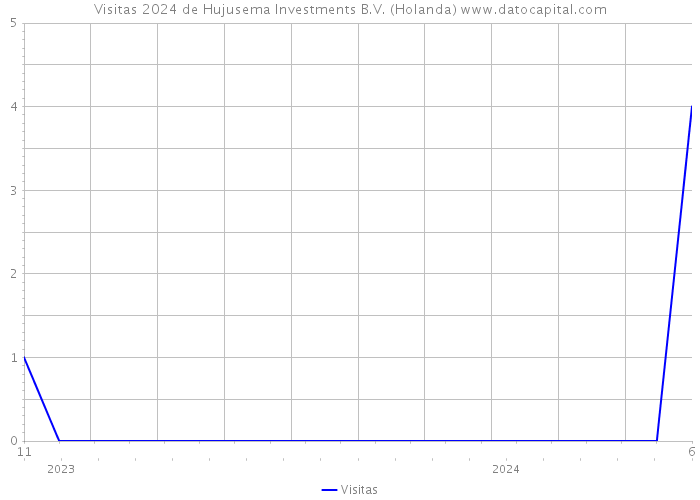 Visitas 2024 de Hujusema Investments B.V. (Holanda) 