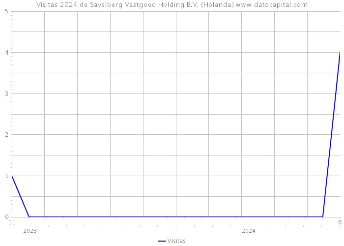 Visitas 2024 de Savelberg Vastgoed Holding B.V. (Holanda) 