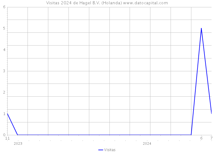 Visitas 2024 de Hagel B.V. (Holanda) 