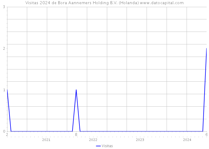 Visitas 2024 de Bora Aannemers Holding B.V. (Holanda) 