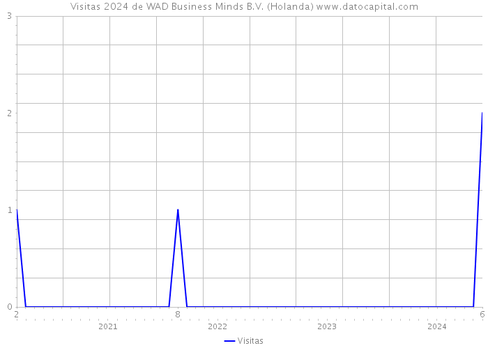Visitas 2024 de WAD Business Minds B.V. (Holanda) 