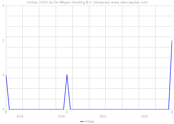 Visitas 2024 de De Wilgen Holding B.V. (Holanda) 