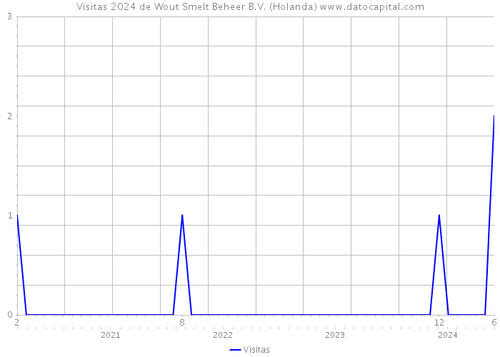 Visitas 2024 de Wout Smelt Beheer B.V. (Holanda) 