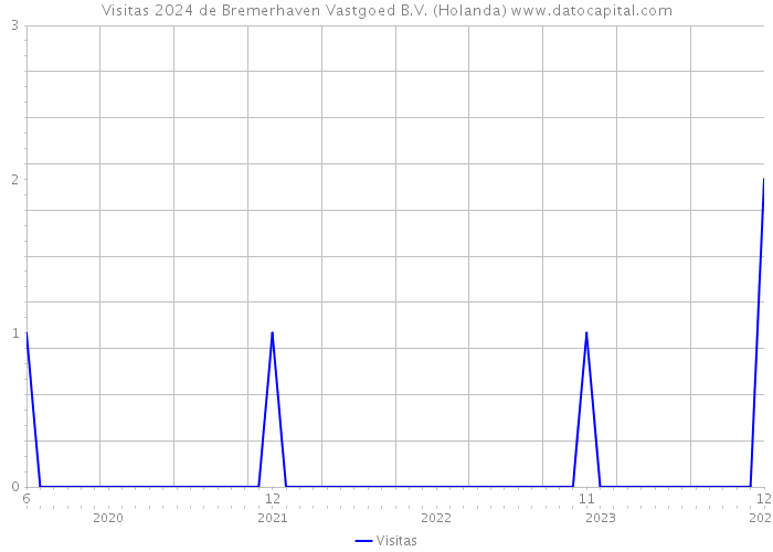 Visitas 2024 de Bremerhaven Vastgoed B.V. (Holanda) 