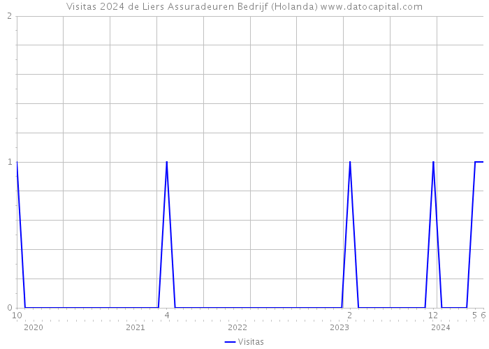 Visitas 2024 de Liers Assuradeuren Bedrijf (Holanda) 