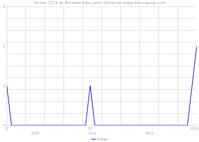 Visitas 2024 de Bierman Advocaten (Holanda) 