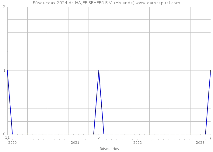 Búsquedas 2024 de HAJEE BEHEER B.V. (Holanda) 