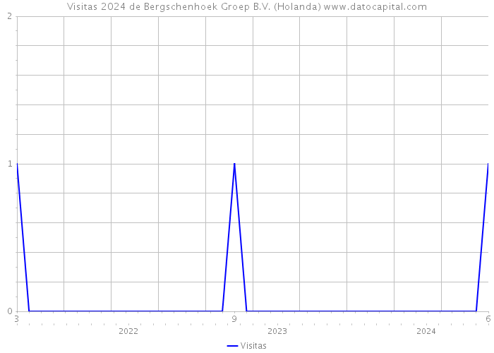 Visitas 2024 de Bergschenhoek Groep B.V. (Holanda) 